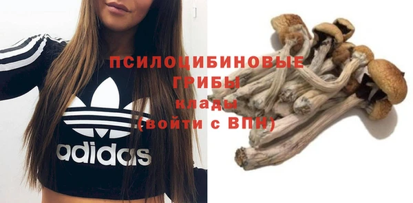 спайс Алексеевка