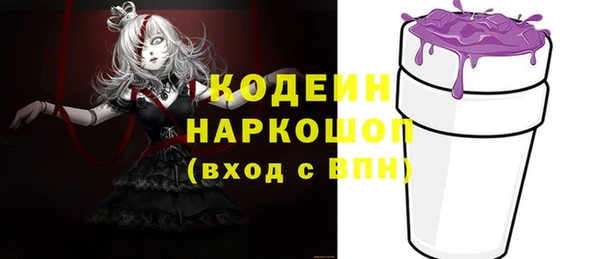 индика Ачинск