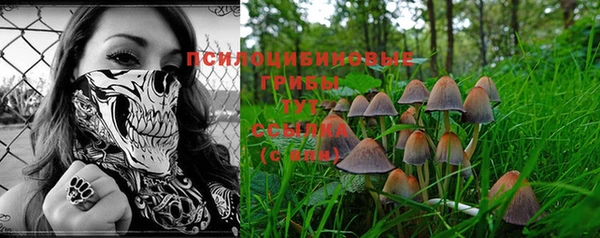 шишки Алзамай