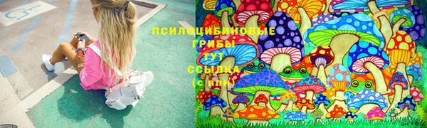 соль ск Бердск