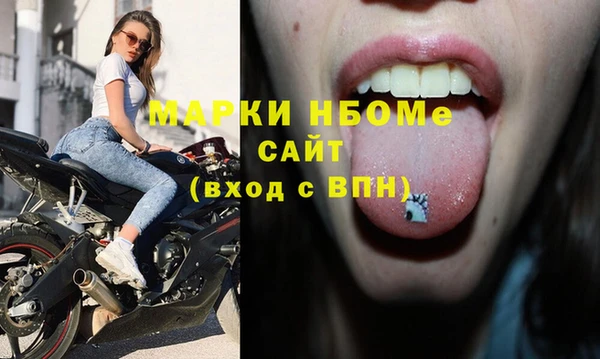 шишки Алзамай