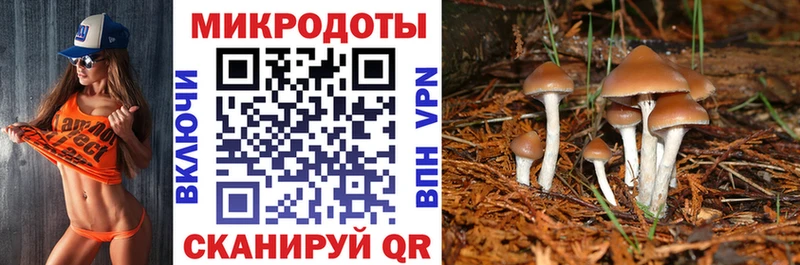 Псилоцибиновые грибы Psilocybe  Старый Оскол 